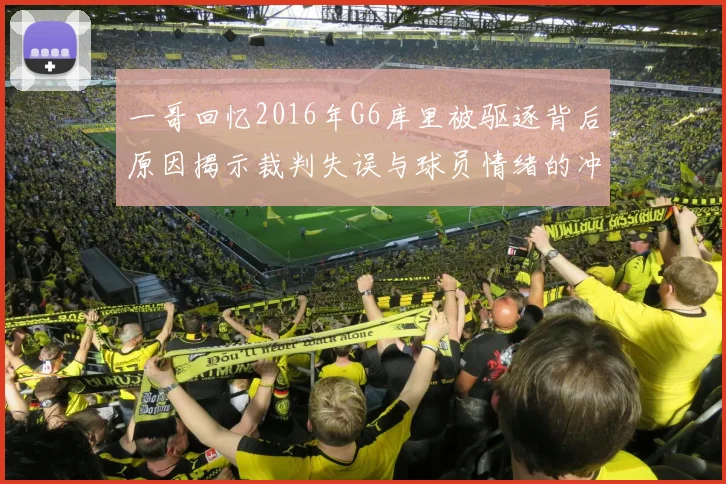 一哥回忆2016年G6库里被驱逐背后原因揭示裁判失误与球员情绪的冲突