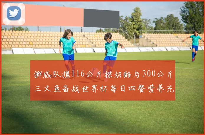 挪威队携116公斤棕奶酪与300公斤三文鱼备战世界杯每日四餐营养充足